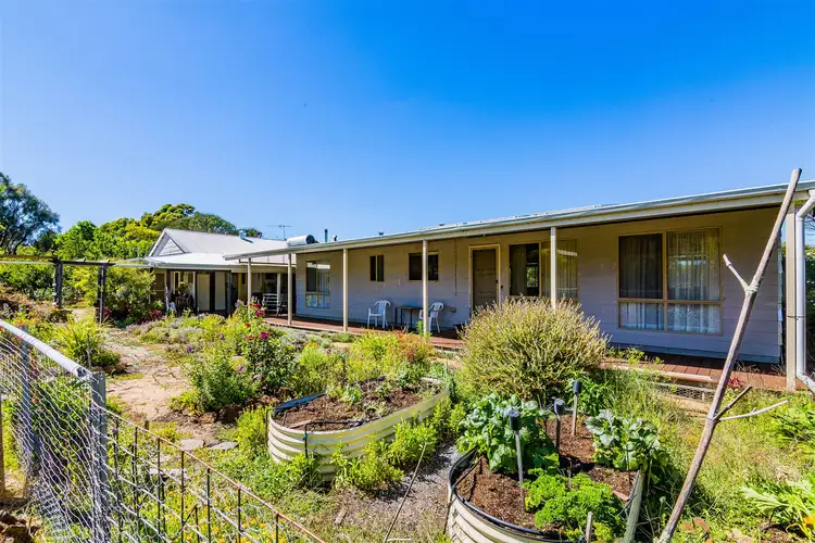38 Nuttman Road
