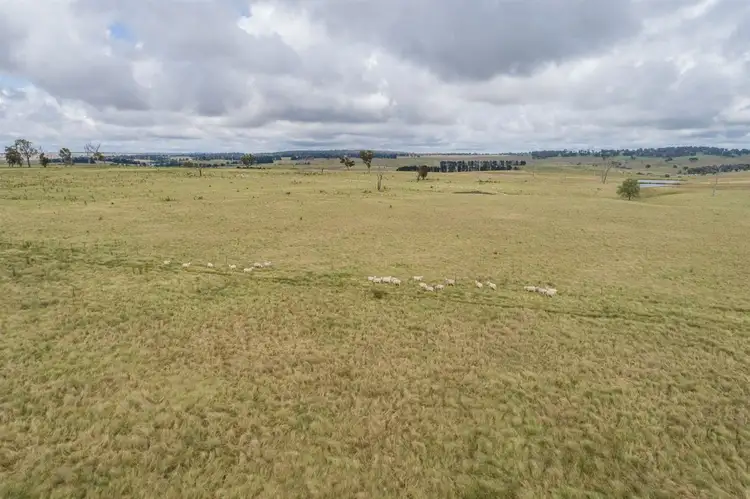 Second view of Homely rural property listing, Ryan East/Lot 1 Green Gully Road, Uralla NSW 2358