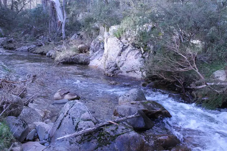 Second view of Homely rural property listing, 1080 Hereford Hall Road, Braidwood NSW 2622