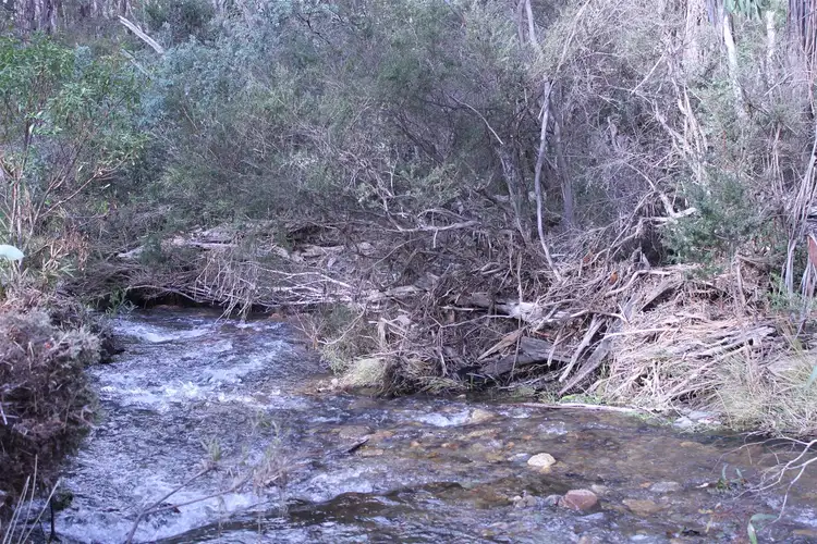 Third view of Homely rural property listing, 1080 Hereford Hall Road, Braidwood NSW 2622