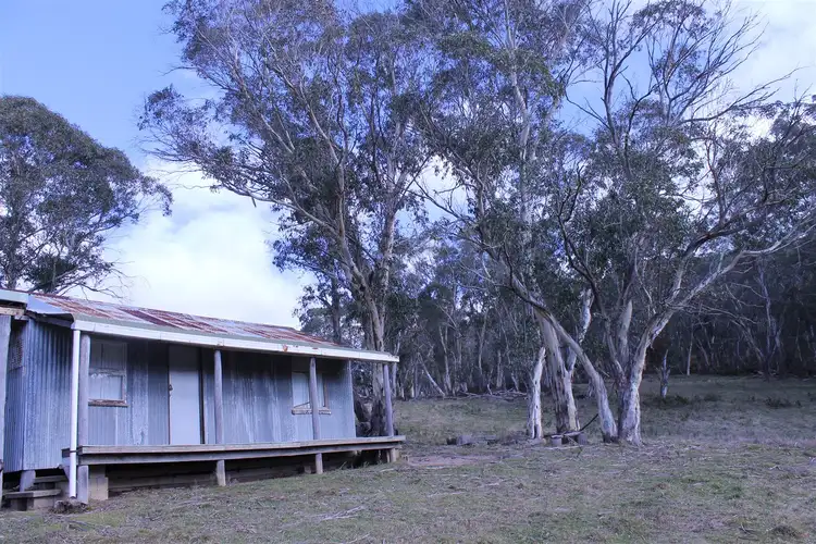 Fourth view of Homely rural property listing, 1080 Hereford Hall Road, Braidwood NSW 2622