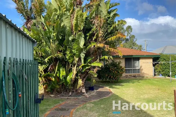 Third view of Homely house listing, 19 Barlee Road, Capel WA 6271