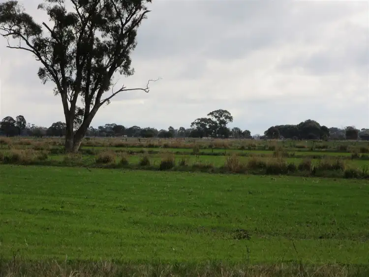 Seventh view of Homely rural property listing, 1510 Geodetic Road North, Stanhope VIC 3623