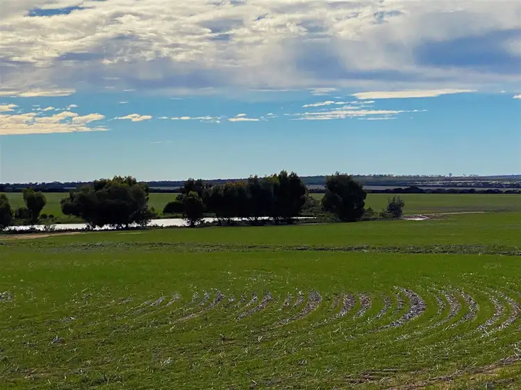 . 'Green Wood', Cleary WA 6472