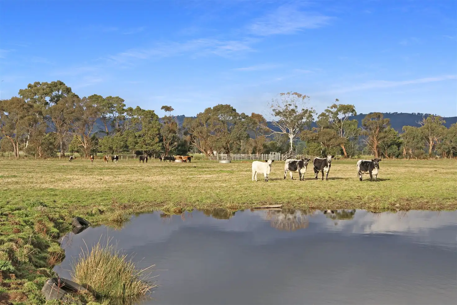 Main view of Homely rural property listing, 1120 Speargrass Road, Yinnar VIC 3869