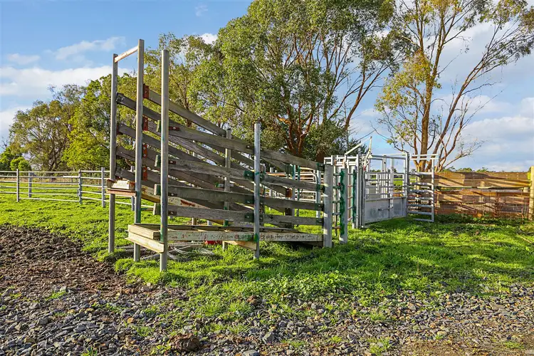 Fourth view of Homely rural property listing, 1120 Speargrass Road, Yinnar VIC 3869