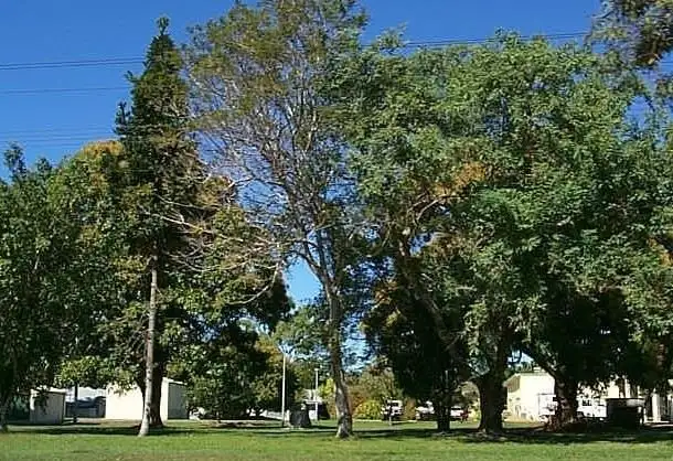Main view of Homely land listing, 67 Tenth Street, Home Hill QLD 4806