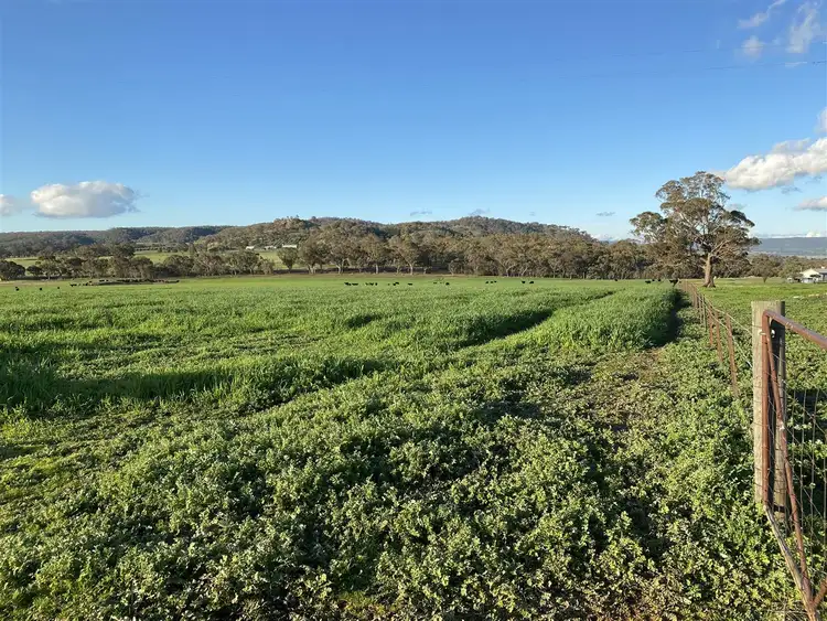 Fifth view of Homely rural property listing, 51 McGann Hill Road, Chesney Vale VIC 3725