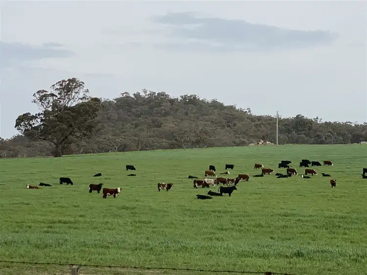 Sixth view of Homely rural property listing, 51 McGann Hill Road, Chesney Vale VIC 3725