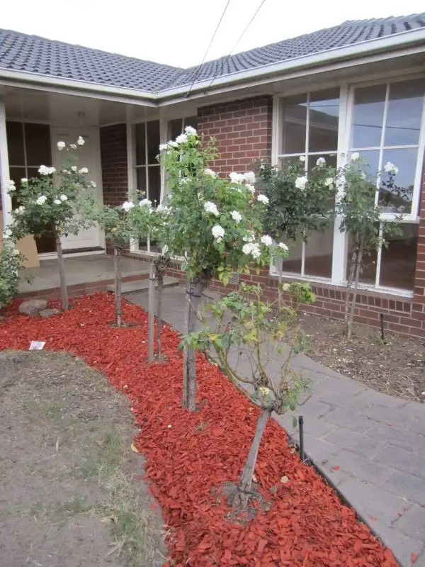 2 Melba Court