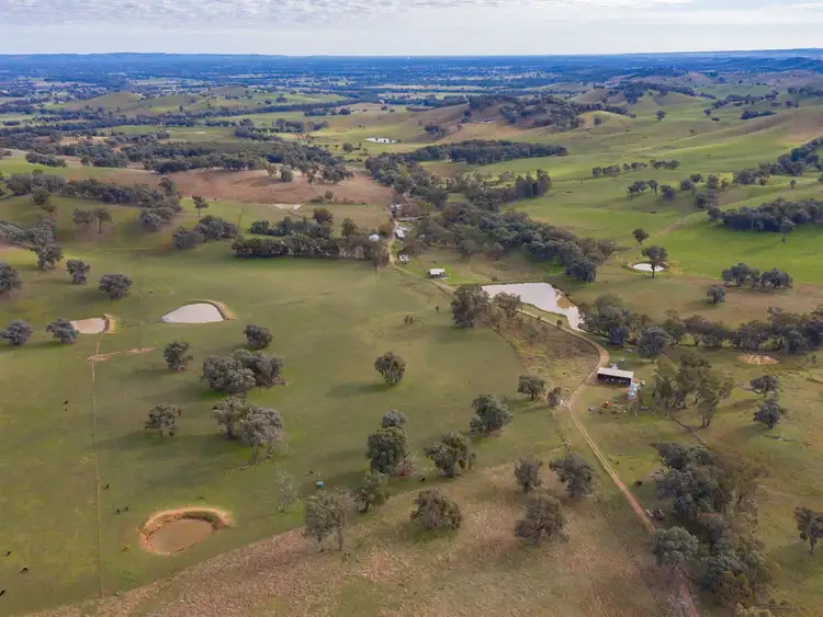 Main view of Homely rural property listing, 452 McInnes Lane, Bobinawarrah VIC 3678