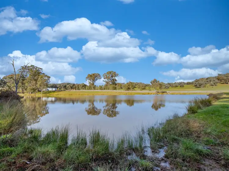 Fourth view of Homely rural property listing, 452 McInnes Lane, Bobinawarrah VIC 3678