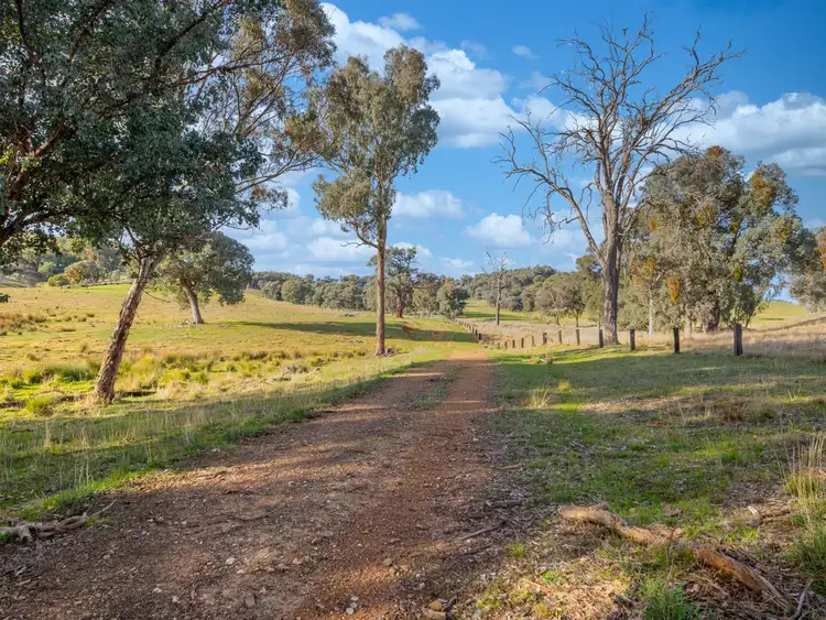 Sixth view of Homely rural property listing, 452 McInnes Lane, Bobinawarrah VIC 3678