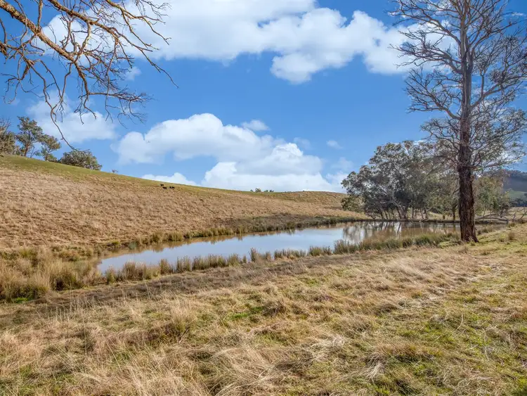 Seventh view of Homely rural property listing, 452 McInnes Lane, Bobinawarrah VIC 3678