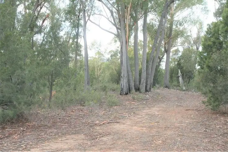 Fourth view of Homely land listing, PID 6792803 Trout Road, Upper Scamander TAS 7215