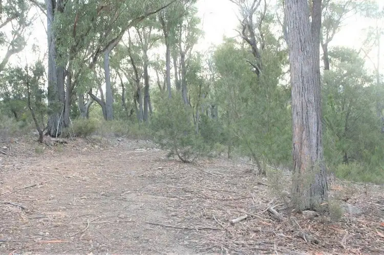 Fifth view of Homely land listing, PID 6792803 Trout Road, Upper Scamander TAS 7215