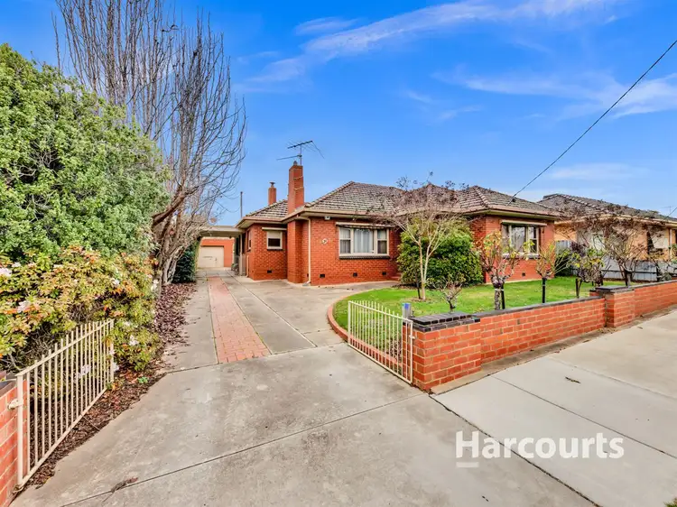 Main view of Homely house listing, 31 Younger Street, Wangaratta VIC 3677