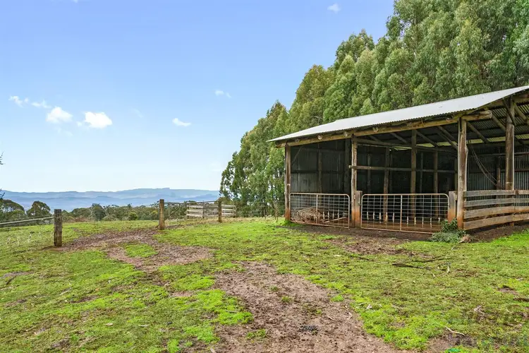 Third view of Homely rural property listing, 426 BUNSTONS ROAD, Tolmie VIC 3723