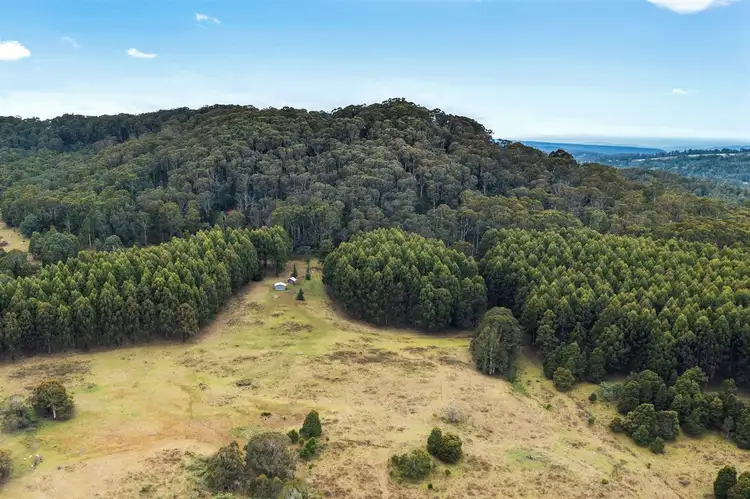 Fifth view of Homely rural property listing, 426 BUNSTONS ROAD, Tolmie VIC 3723