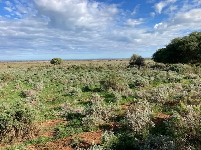 Third view of Homely rural property listing, 429 Middle Track & Pole Road, Port Germein SA 5495