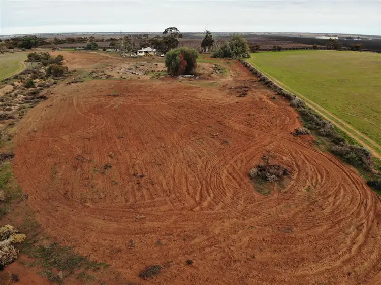 Second view of Homely rural property listing, 164 Thurlow Lane, Red Cliffs VIC 3496