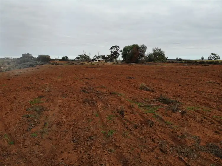 Third view of Homely rural property listing, 164 Thurlow Lane, Red Cliffs VIC 3496