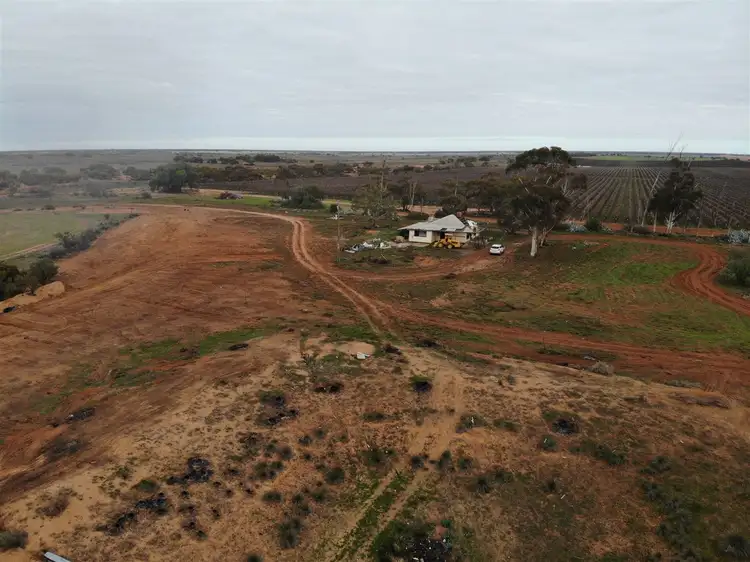 Fourth view of Homely rural property listing, 164 Thurlow Lane, Red Cliffs VIC 3496