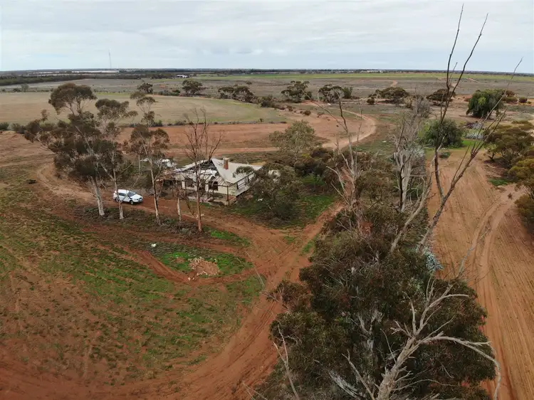 Fifth view of Homely rural property listing, 164 Thurlow Lane, Red Cliffs VIC 3496