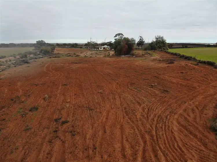 Sixth view of Homely rural property listing, 164 Thurlow Lane, Red Cliffs VIC 3496