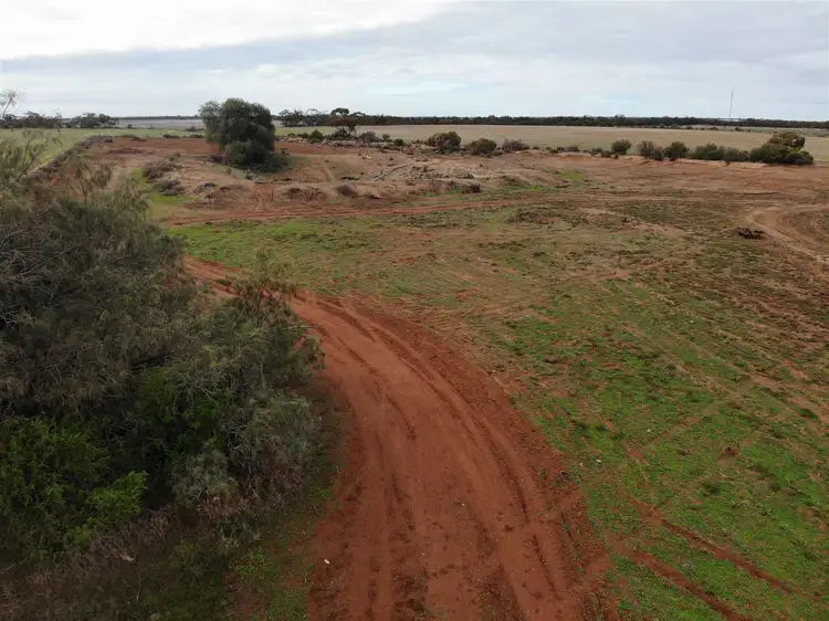 Seventh view of Homely rural property listing, 164 Thurlow Lane, Red Cliffs VIC 3496