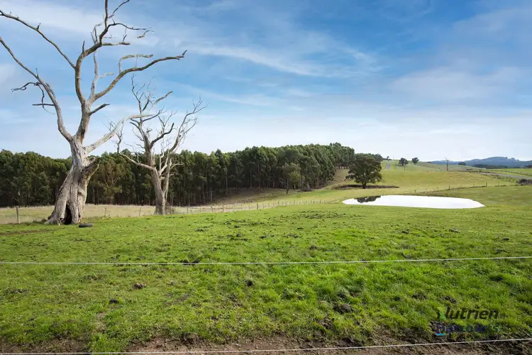 Fourth view of Homely rural property listing, 25 Barina Heights, Yea VIC 3717