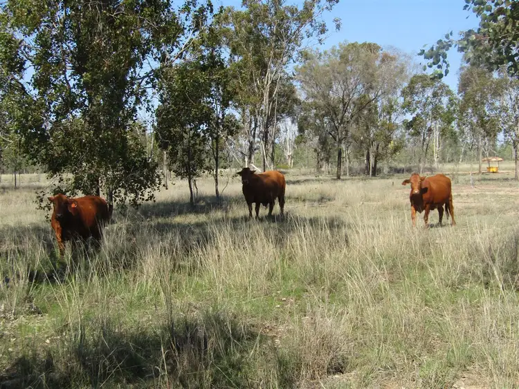 Seventh view of Homely rural property listing, 0 Parkes Road, Duaringa QLD 4712