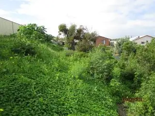 Fourth view of Homely land listing, 41 Hampton Street, Port Denison WA 6525