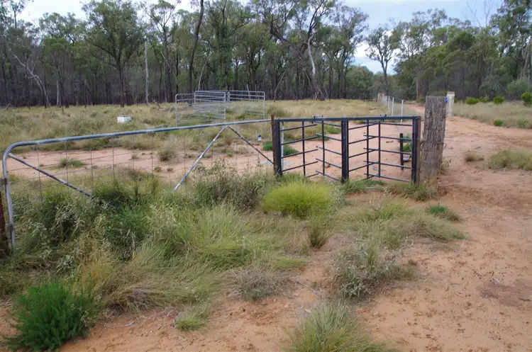 709 Tuppiari Road, Narrabri NSW 2390