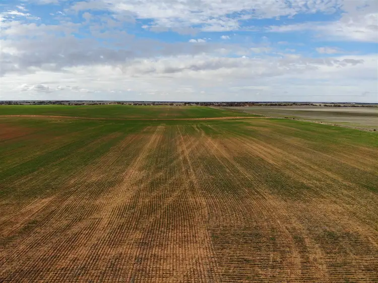 Sixth view of Homely rural property listing, 544 Vine Lane, Ouyen VIC 3490