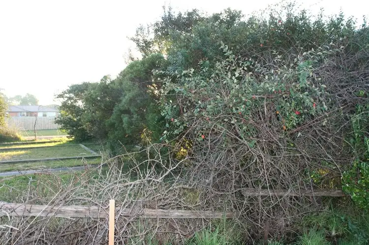 Sixth view of Homely land listing, Lot 1 / 75 Quail Street, St Helens TAS 7216