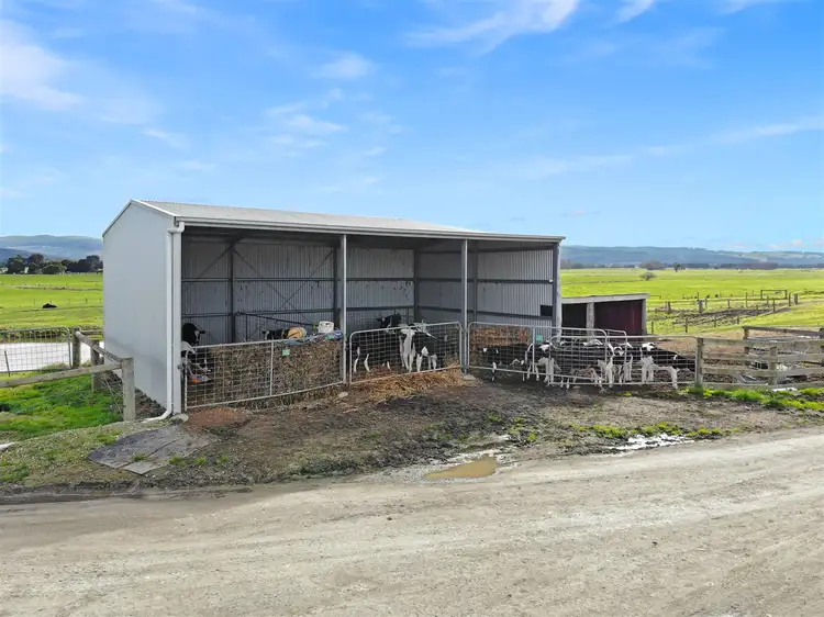 Third view of Homely rural property listing, 243 Buckleys Island Road, Yarram VIC 3971