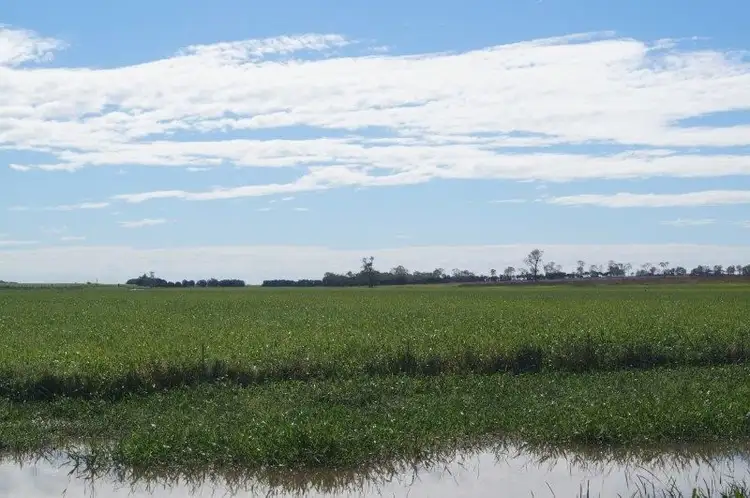 Main view of Homely rural property listing, 286 BARRETT ROAD, Brandon QLD 4808
