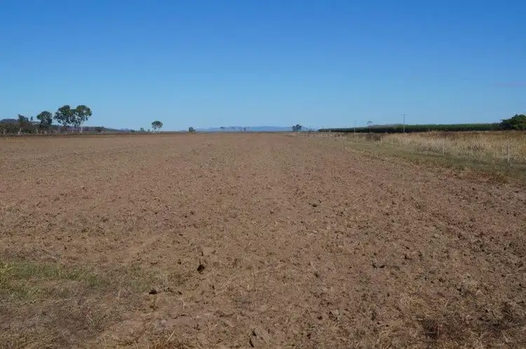 Seventh view of Homely rural property listing, 286 BARRETT ROAD, Brandon QLD 4808