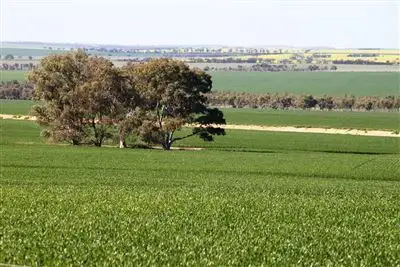 Fifth view of Homely rural property listing, Address available on request