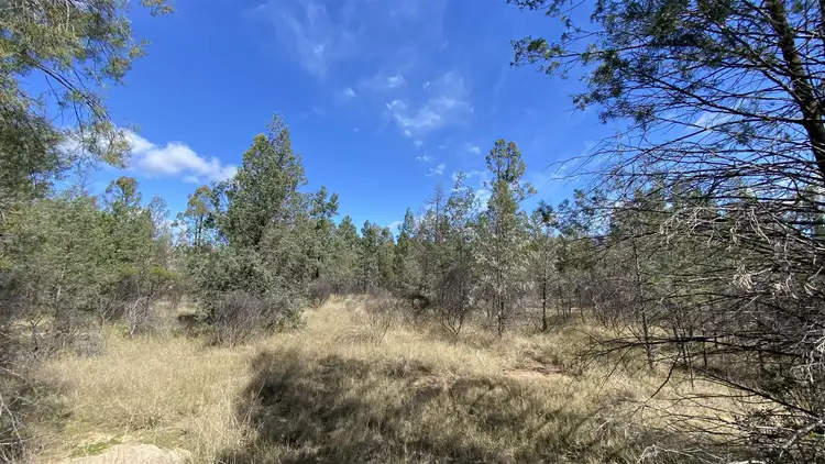 Fourth view of Homely rural property listing, Lot/11 Warrego Highway, Miles QLD 4415