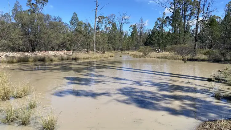 Seventh view of Homely rural property listing, Lot/11 Warrego Highway, Miles QLD 4415