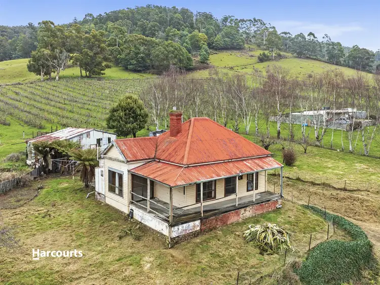 Main view of Homely house listing, 260 Scotts Road, Cairns Bay TAS 7116