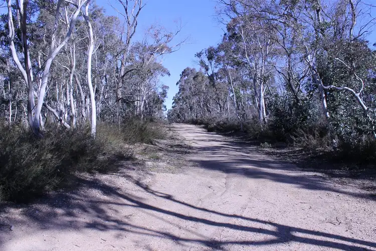 Sixth view of Homely rural property listing, 71 Mayfield Road, Braidwood NSW 2622