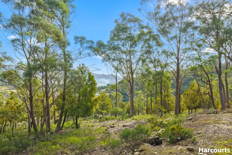 Lot 2 Mount Charles Road, Lachlan TAS 7140