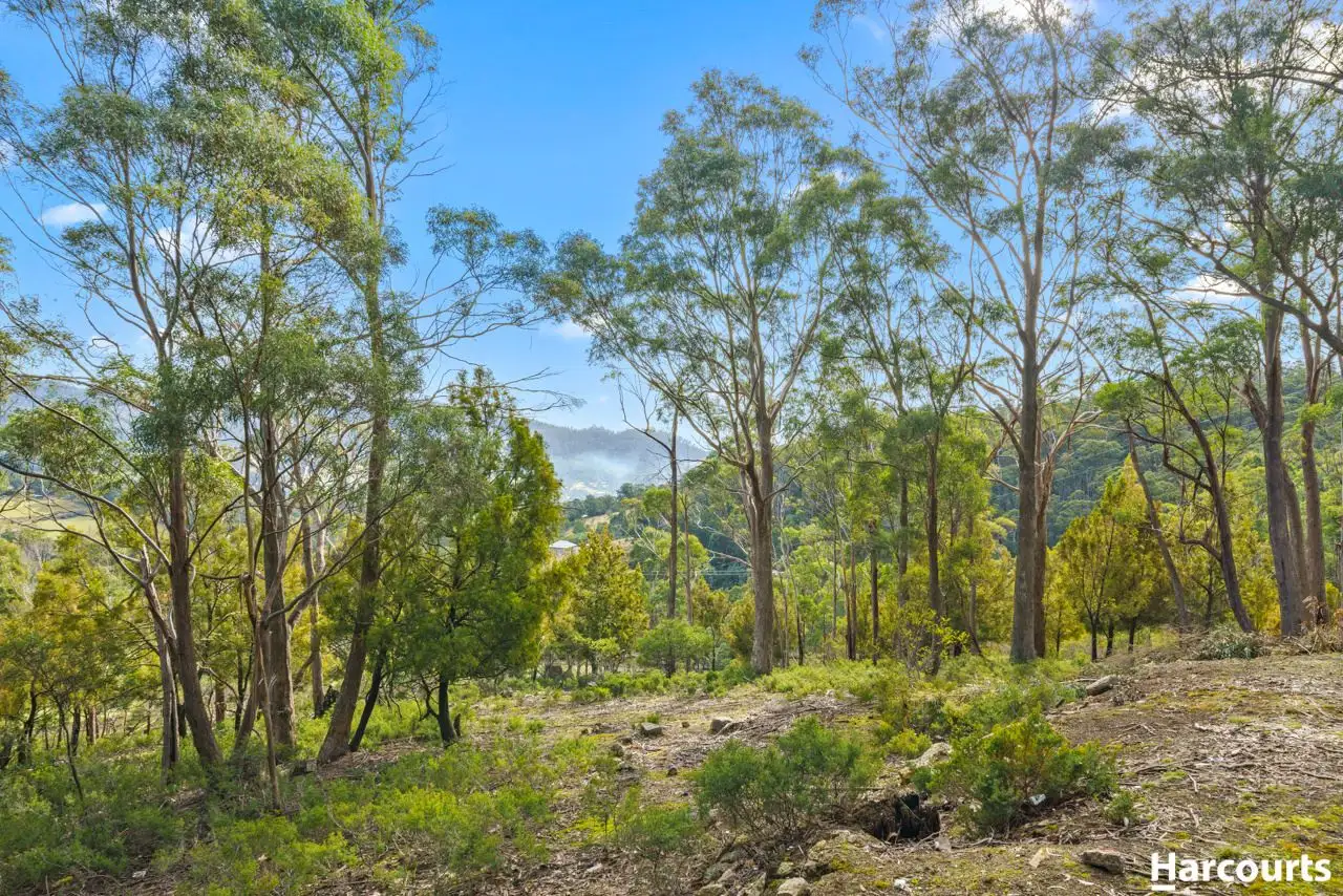 Main view of Homely land listing, Lot 2 Mount Charles Road, Lachlan TAS 7140