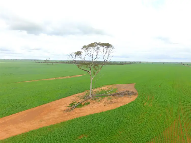 . 'Gordon's', Bencubbin WA 6477