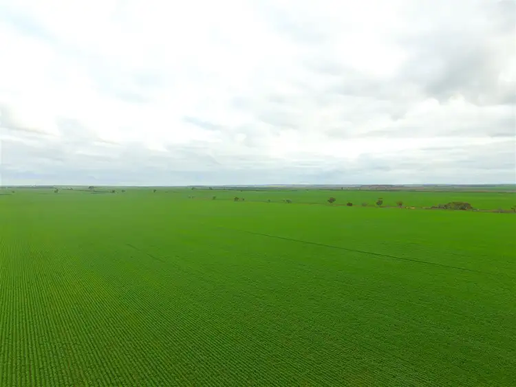 Second view of Homely rural property listing, . 'Gordon's', Bencubbin WA 6477
