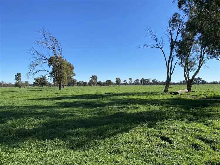 Main view of Homely rural property listing, 127 Orr's Road, Cohuna VIC 3568