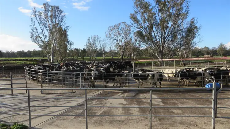 Fourth view of Homely rural property listing, 127 Orr's Road, Cohuna VIC 3568